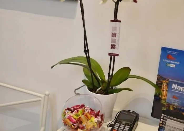 Mellos Bed & Breakfast Neapol